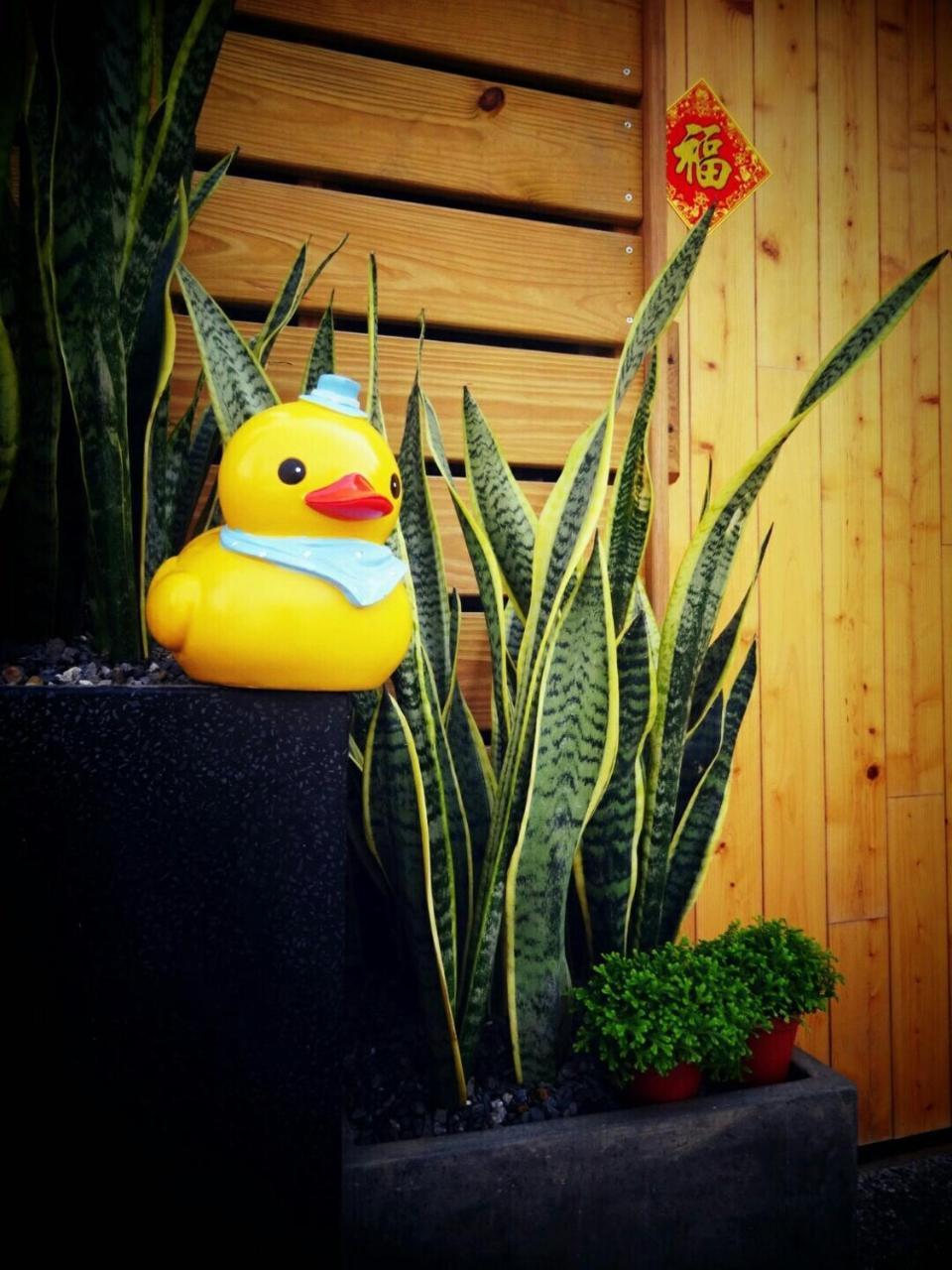 Yy Elleys Home Jiaoxi Exterior foto